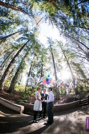 weddings davis localwiki