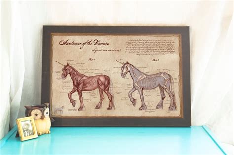 Anatomy of the Unicorn // Unicorn Art Poster // Medical Illustration ...