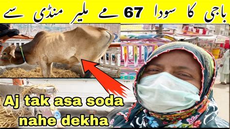 Anty Ka Khatarnak Soda Malir Mandi Rate Update 2022 Naseeb Ka Soda