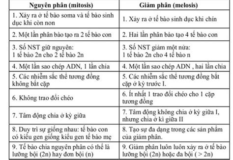 Phân Biệt Giữa Nguyên Phân và Giảm Phân Khám Phá Chi Tiết