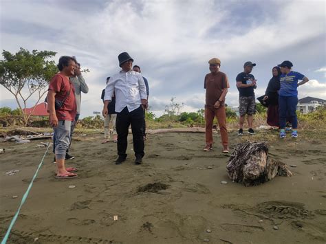 Hari Menanam Pohon Indonesia Sulbar Siap Tanam 1 2 Juta Mangrove