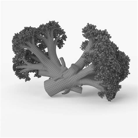 Realistic Broccoli 3d Model Max Obj Fbx C4d