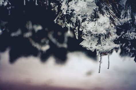 Macro Photography of Snowflakes · Free Stock Photo