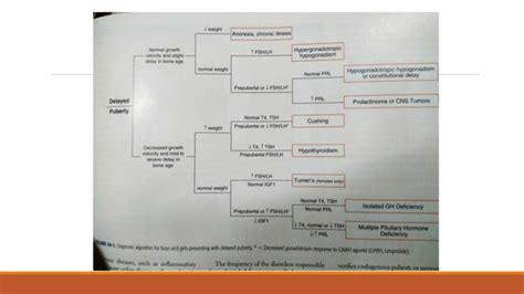 Delayed Puberty Etiology Diagnostic Approach Ppt