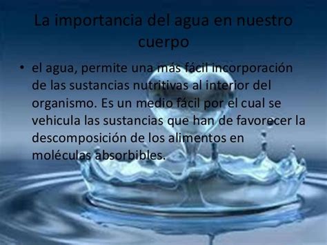 La Importancia Del Agua