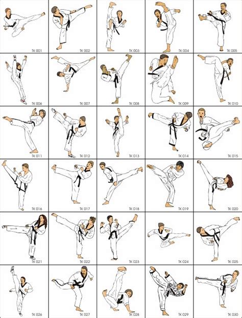 Basics movements of #@Taekwondo#@ | Techniques d'arts martiaux, Art ...