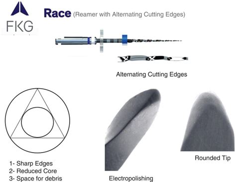 Endodontic Instruments And Canal Preparation Techniques Pocket Dentistry