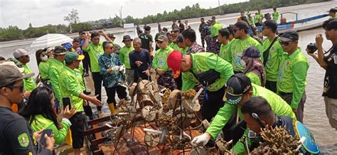 Pelestarian Pantai Teluk Lingga DLH Kutim Inisiasi Penanaman Terumbu