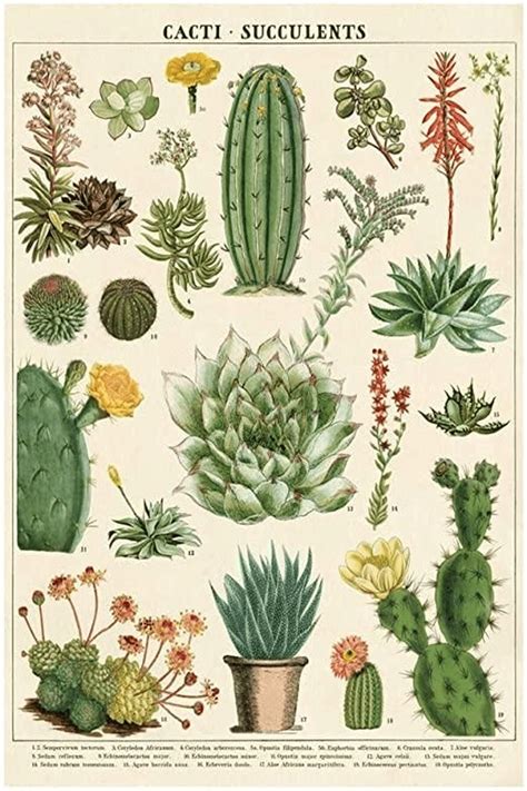 115 Pcs Botanical Poster Wall Collage Kit Vintage Poster Etsy