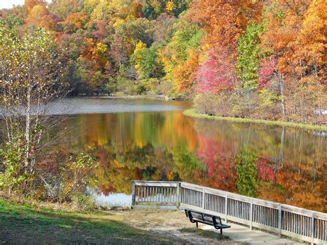 When It Comes To Summer Come To Lake Ridge Park And Marina