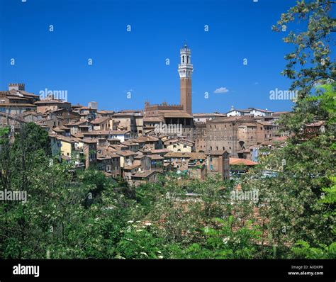 Torre Del Mangia Tower Palazzo Pubblico Siena Tuscany Italy Stock Photo