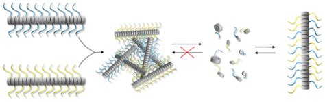 Bioconjugate Chemistry Vol 27 No 11