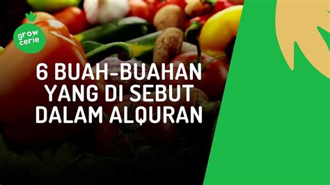 6 BUAH BUAHAN YANG DISEBUT DALAM AL QURAN YouTube