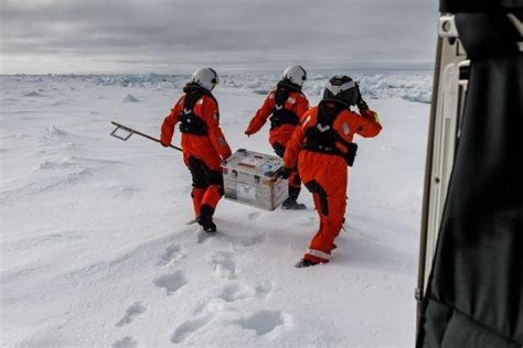 Microplastics Found In ‘heavily Contaminated Arctic Ice Algae Posing