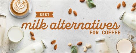 Easy Homemade Milk Alternatives for the Best Coffee Experience