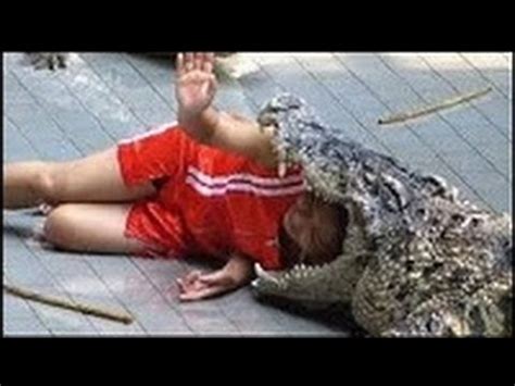 Top 6 Animal Attacks On Humans Youtube