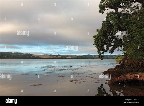 Lynher Estuary Uk Hi Res Stock Photography And Images Alamy