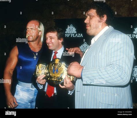 Andre The Giant And Hulk Hogan