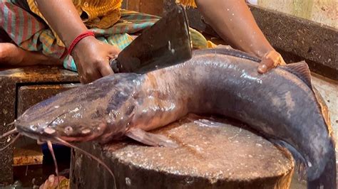 Amazing Giant Magur Fish Cutting Live In Fish Market Catfish Cutting