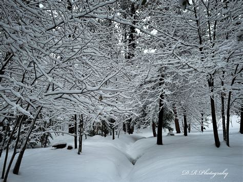 Idyllwild Photo Gallery – Idyllwild – Pine Cove California Guide to Idyllwild Ca, USA