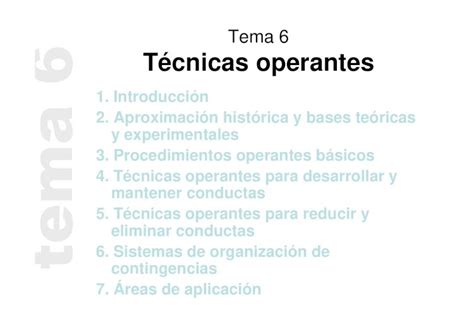 PDF Tema 6 Técnicas operantes ujaen esljgarcia docencia archivos