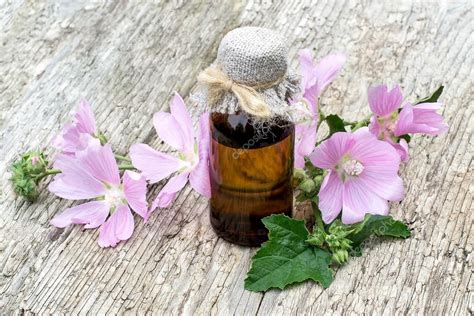 Planta Medicinal Malva Moschata Y Frasco Farmac Utico