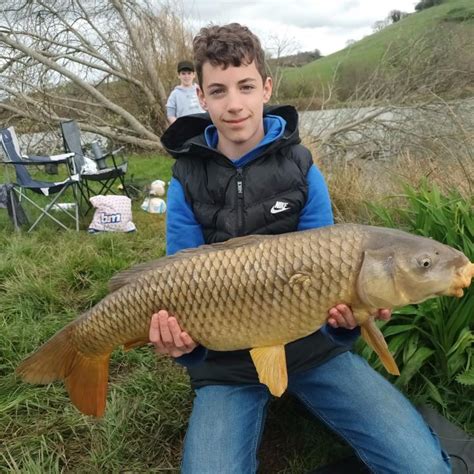 pb   year total carp