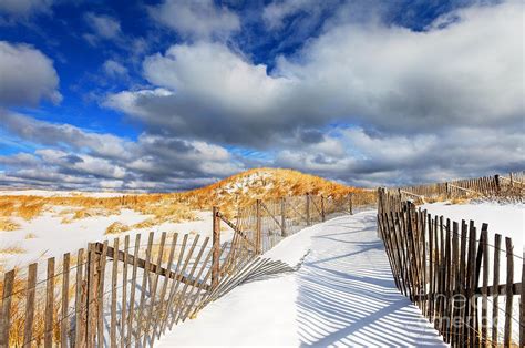 Winter on Cape Cod Photograph by Denis Tangney Jr | Pixels