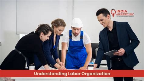 The Importance Of Understanding Labor Organization Dynamics