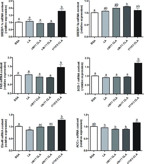 Mrna Expression Of Lipogenic Genes In Hepg2 Cells Following Clas