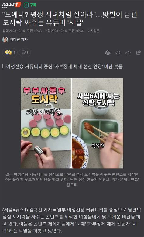 노예냐 평생 시녀처럼 살아라 맞벌이 남편 도시락 싸주는 유튜버 시끌 Dogdripnet 개드립