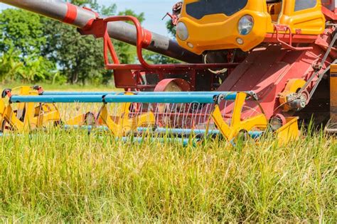 Combine Harvester Working on Rice Field. Harvesting is the Process of ...