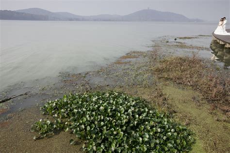 Long struggle for a cleaner Lake Tai | Dialogue Earth