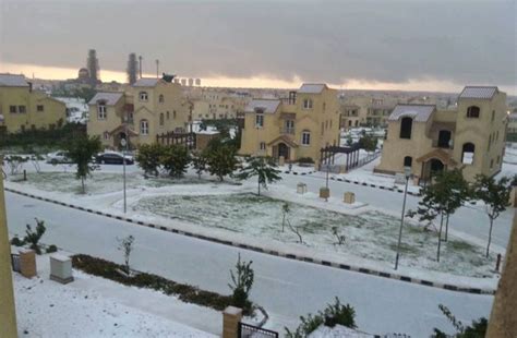 Snow in Egypt (27 pics)