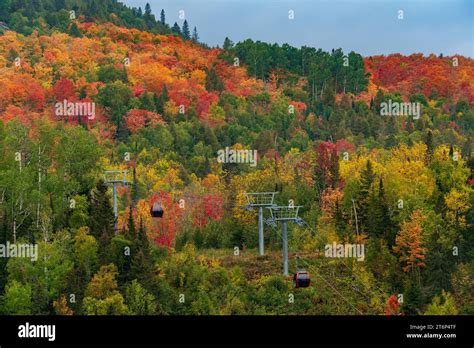 The Gondola Lift Up Moose Mountain With Fall Foliage Color At The