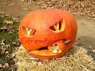 desde la cocina en montreal pumpkin carving ii extreme pumpkin