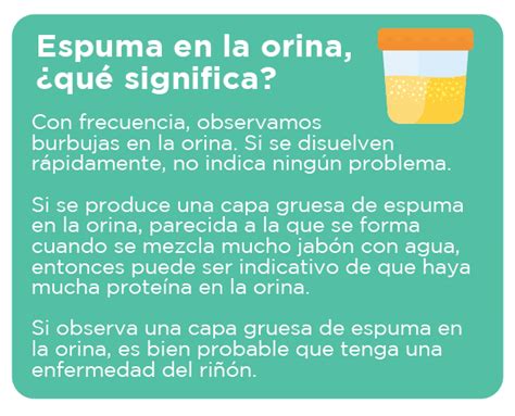 Hematuria Y Proteinuria Cuando La Orina Tiene Sangre O Espuma