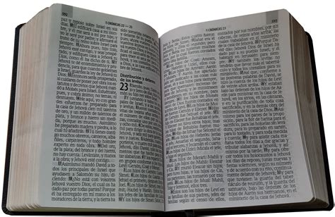 Biblia Rvr Letra Gigante Puntos Concordancia Covertex Gris