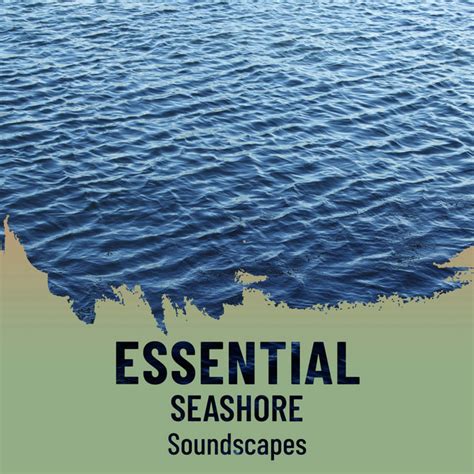 ZZz Essential Seashore Soundscapes ZZz Album By Wave Sounds For Sleep