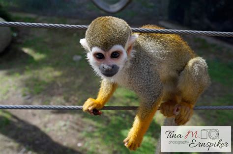 40 Photos That Will Make You Want to Visit Guadalajara Zoo – Los ...