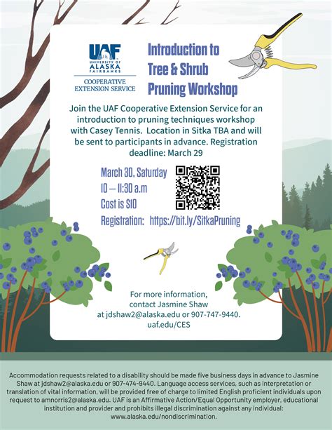 Uaf Cooperative Extension Service To Host Sitka Tree Pruning Workshop