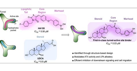 Structure Based Design Of A Novel Class Of Autotaxin Inhibitors Based