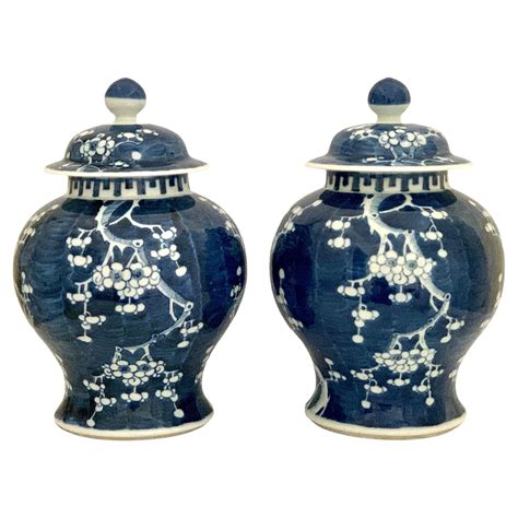 Pair Blue And White Chinese Porcelain Ginger Jars 19th Century Hand