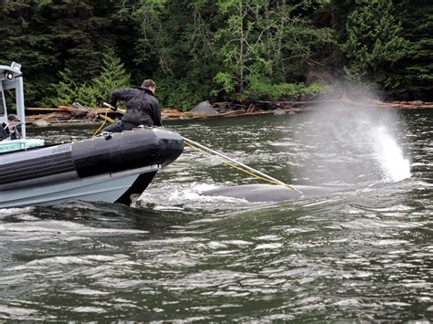 Making The ‘ghost Toast Ridding Our Oceans Of Fishing Gear Debris