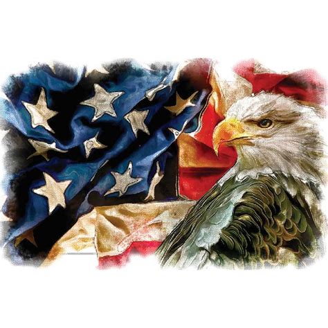 Bald Eagle Bird Art American Flag Eagle Png Eagle and USA Fl - Inspire ...