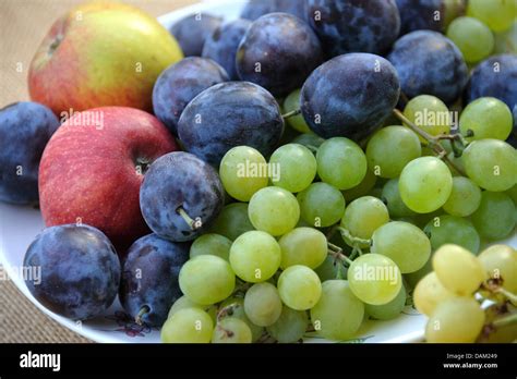 Uvas y ciruela fotografías e imágenes de alta resolución Alamy