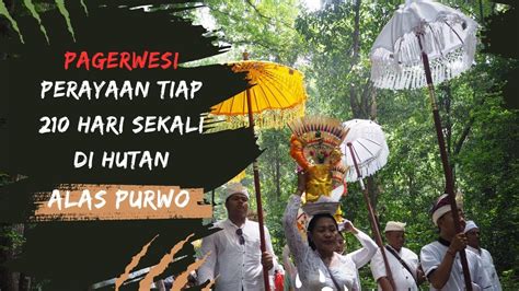 Pagerwesi Alas Purwo Perayaan Hari Sekali Di Alaspurwo