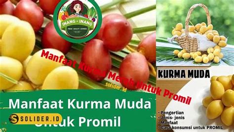 Temukan Manfaat Kurma Merah Untuk Promil Yang Jarang Diketahui Solider