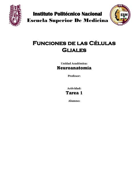 Funciones De La Glia Instituto Politécnico Nacional Escuela Superior De Medicina Funciones De