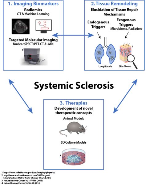 Towards Precision Medicine In Systemic Sclerosis Associated